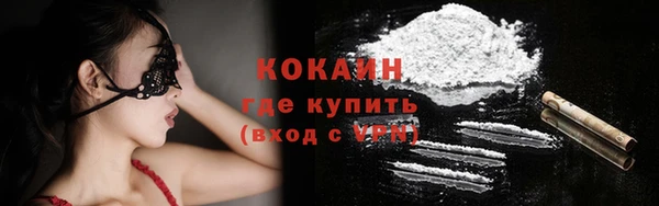 твердый Алексин