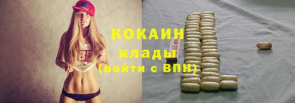 твердый Алексин