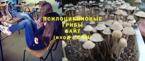 амф Алексеевка