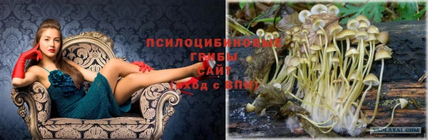 твердый Алексин