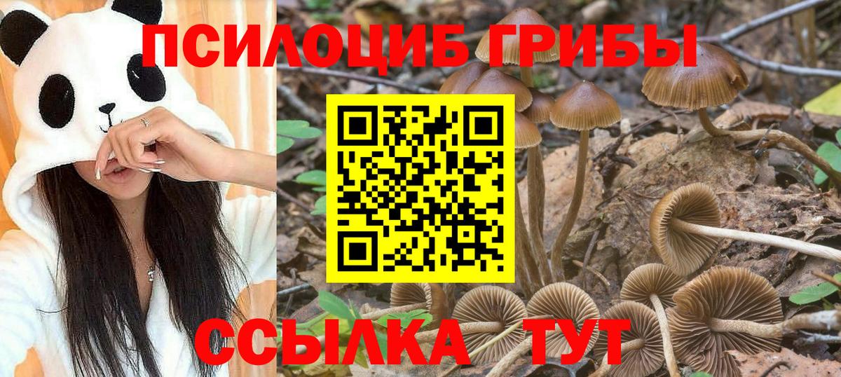 Галлюциногенные грибы GOLDEN TEACHER  Галлюциногенные грибы Psilocybe  Вход с VPN  Боровичи 