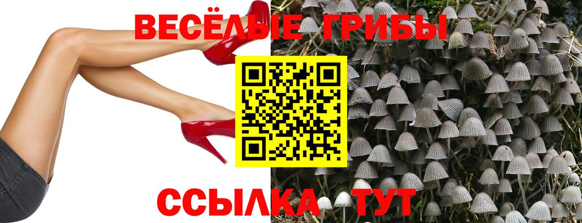 Галлюциногенные грибы ЛСД Боровичи
